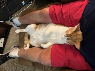 662181c1aa96b Tom making himself at home small