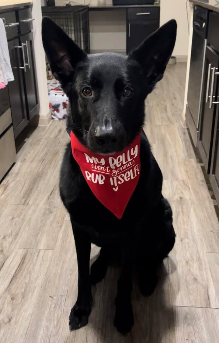 Luna 2