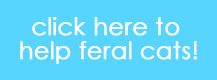 feralcats