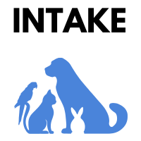 Intake